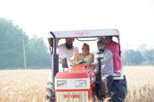mp in pau fields1