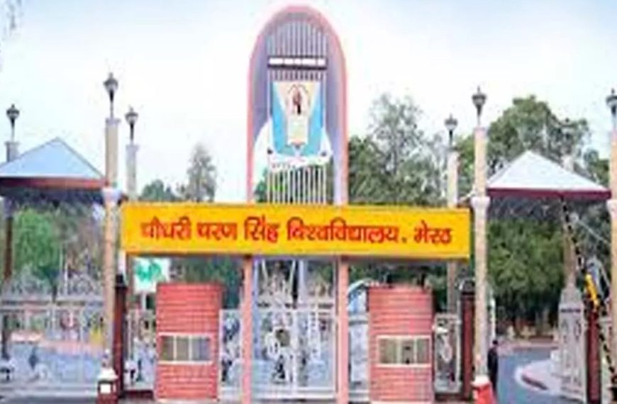 जापान के औद्योगिक, कौशल एवं मेनपावर से जुड़ेंगे सीसीएसयू के विद्यार्थी, बढ़ेगा रोजगार 